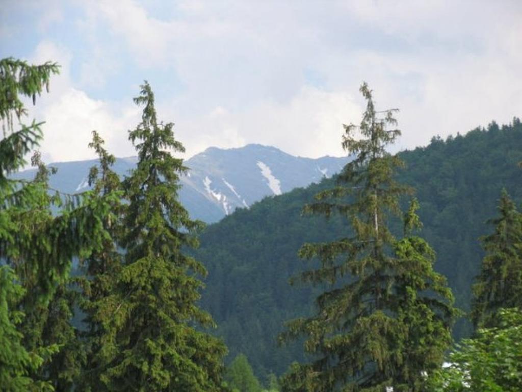 Willa Lesna Zakopane Bagian luar foto